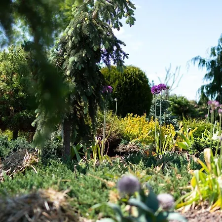 Paeraporgu Puhkemaja * Miila