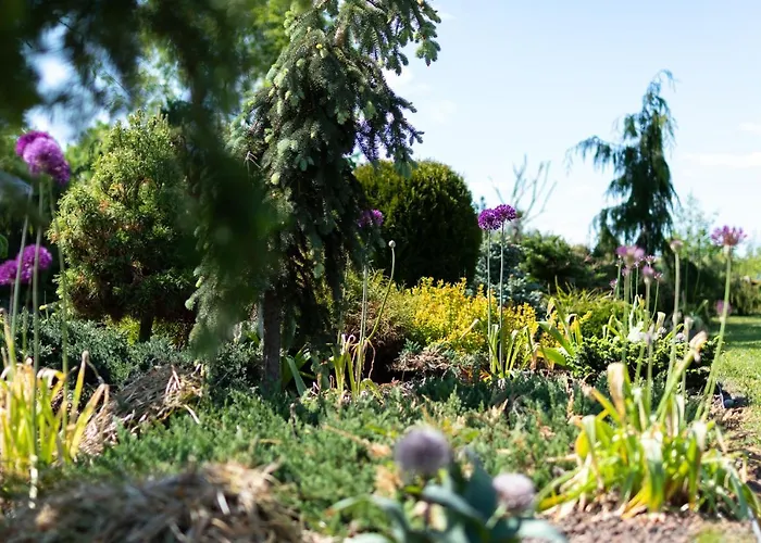 Paeraporgu Puhkemaja * Miila