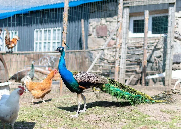 Paeraporgu Puhkemaja Casa vacanze Miila